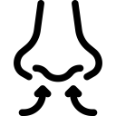 Noski